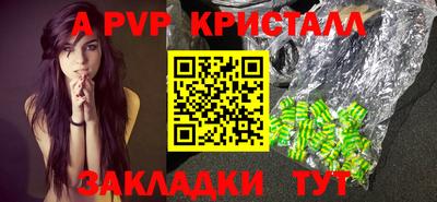спиды Бийск