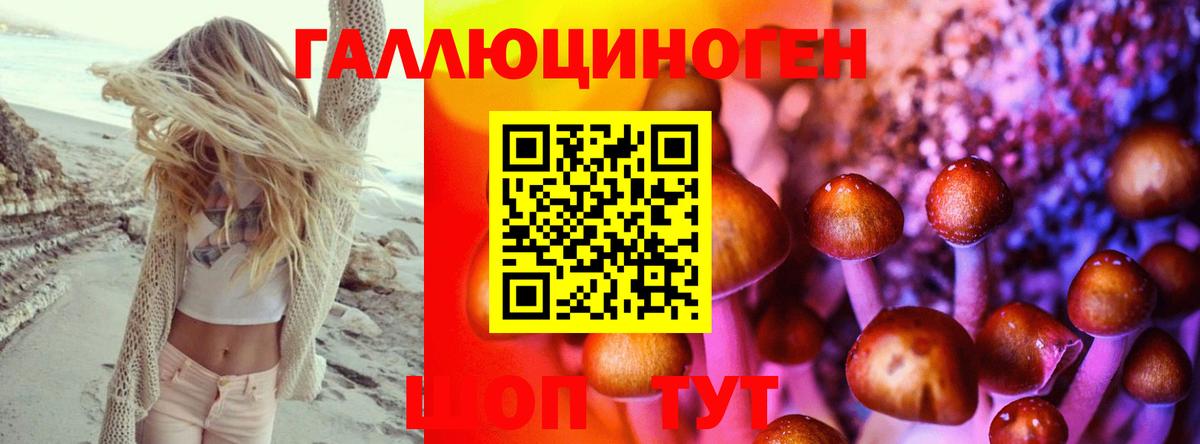 Псилоцибиновые грибы мицелий  Вход с VPN  Кирово-Чепецк  Галлюциногенные грибы Psilocybe 